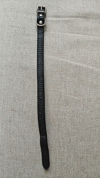 Koiran panta