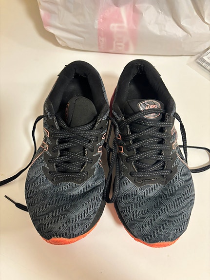 ASICS GT-2000 10 GTX