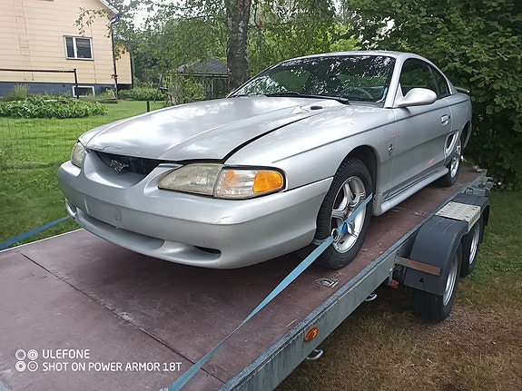 Ford Mustang osina