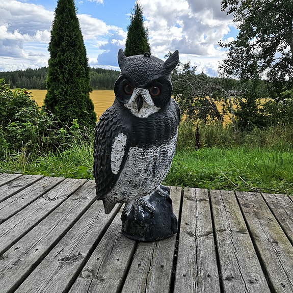 Huuhkaja-puutarhakoriste