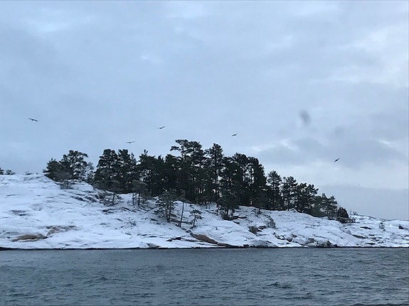 Maatilan päärakennus/pihapiiri