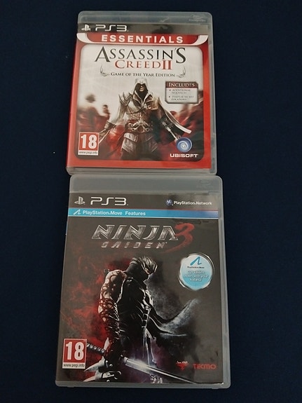 Assassins Creed 2 ja Ninja Gaiden 3