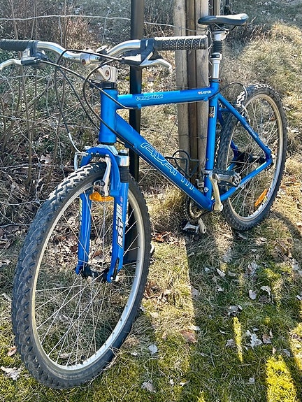 Avanti competitor 26” renkaat