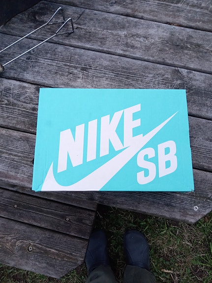 Nike SB