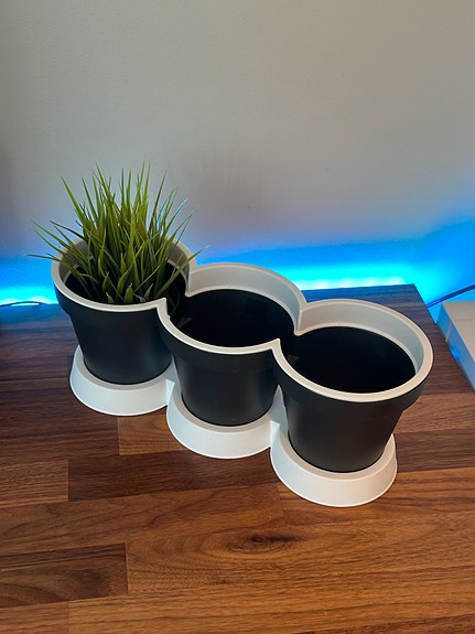 Kukkaruukku