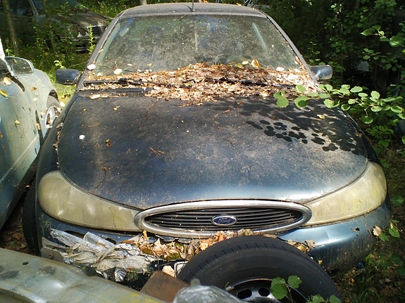 osina ford mondeo MK2