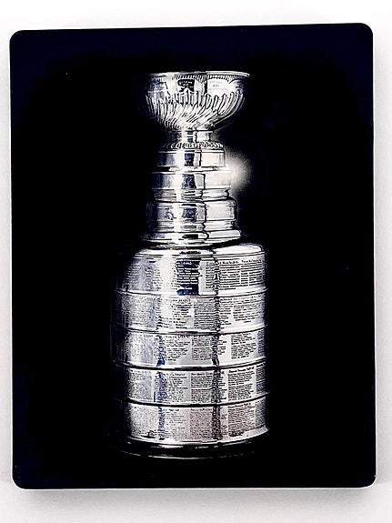 NHL 13 Steelbox