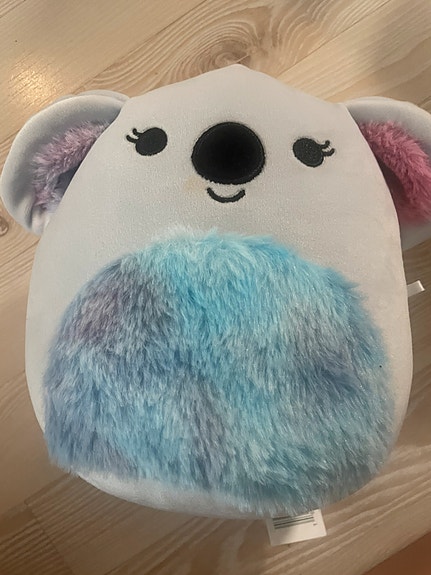 Koala squishmallow