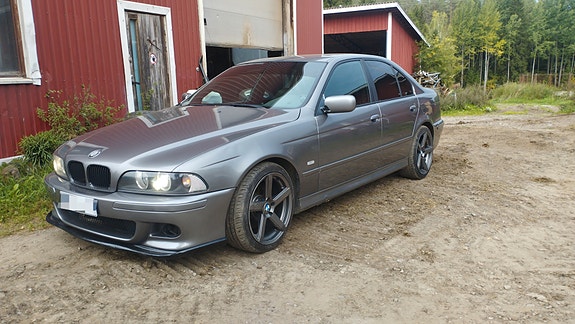 Dotz cp5