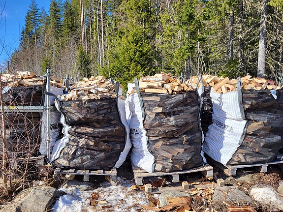 Kuivaa polttopuuta