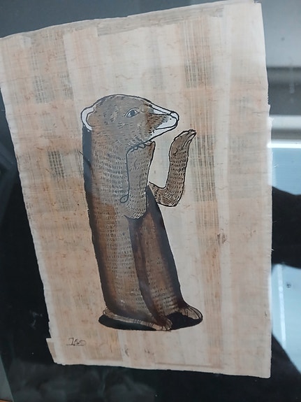 Papyrus "The Mongoose"