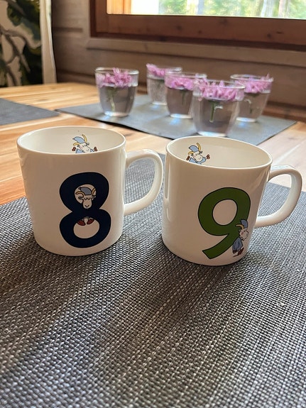 Herra Hakkarainen numeromukit