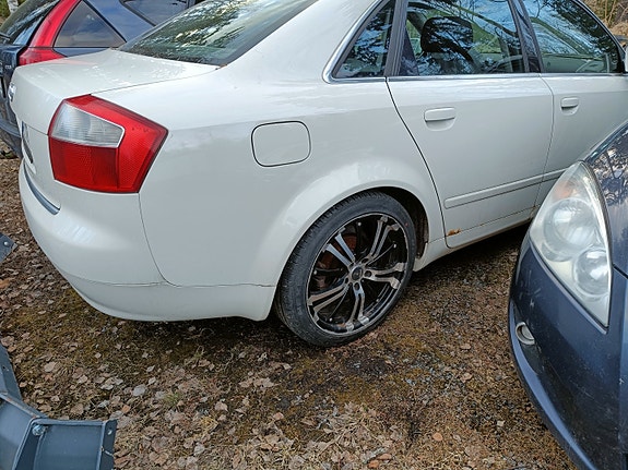 Audi A4 B6 osina