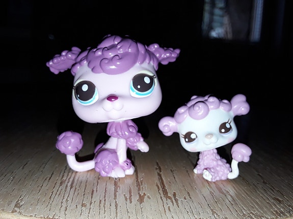 Lps puudelit