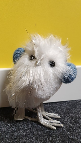 Talvinen pöllö