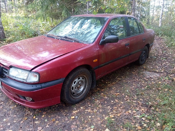 Nissan Primera
