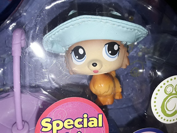 Lps pomeranian