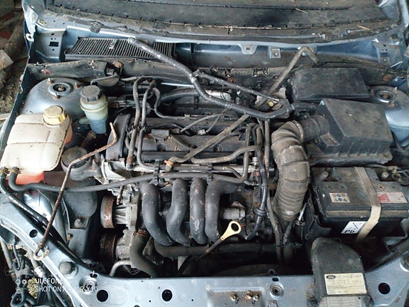 Osina Ford focus 1.6 farmari-04