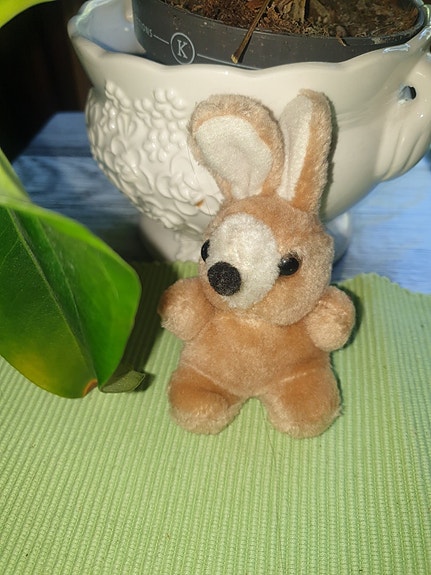 Pieni ruskea pupu maskotti 1,50 e (kork. 12 cm)