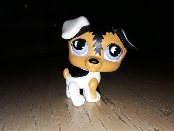 Lps russeli