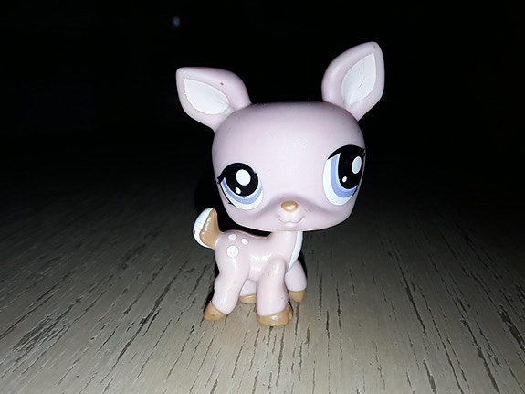 Lps kauris