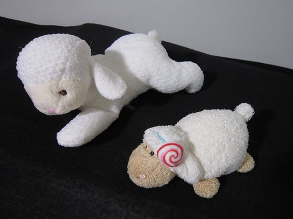Product image 6 of 10