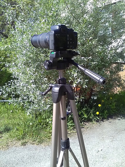 Digikamerasetti Canon EOS 1000D + Lintuopas.