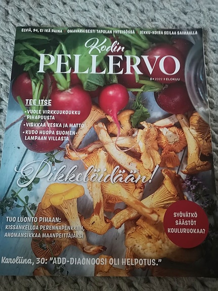 Vanha Kodin Pellervo lehti