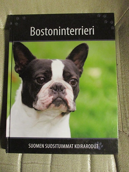 Suomen suosituimmat koirarodut