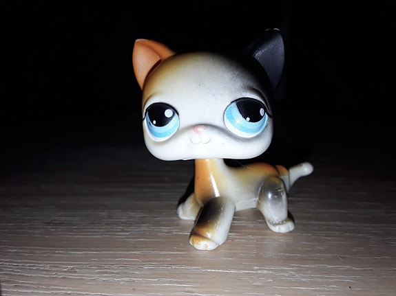 Lps kissa