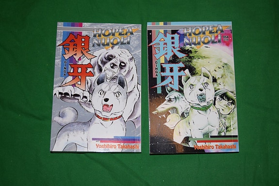 Hopeanuoli 1-18