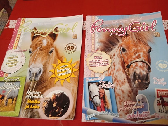 Penny Girl Lehtiä 2 kpl