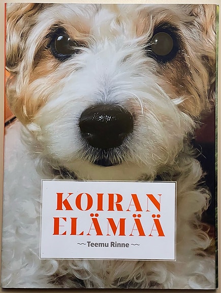 Koiran elämää - Teemu Rinne
