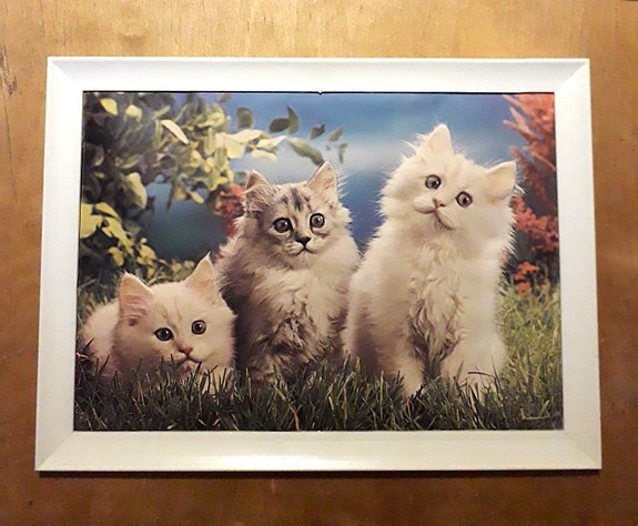 Retro taulu kissat