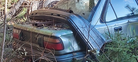 BMW osia