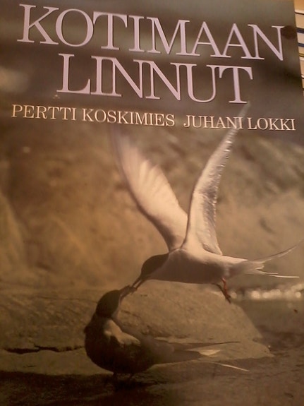 Koskimies: Kotimaan linnut (nidottu, 2003)