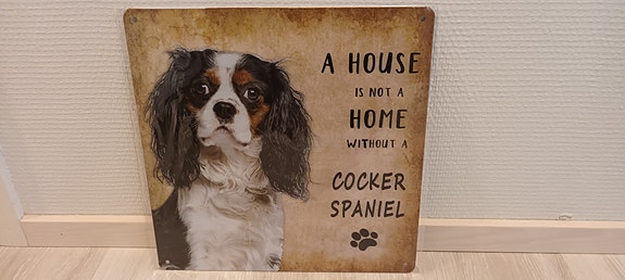 Koirataulu Cockerspanieli