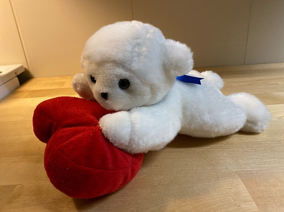 Nalle ja sydän