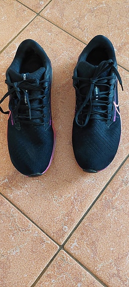 Nike air zoom pegasus