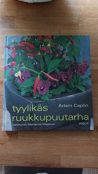 Tyylikäs ruukkupuutarha