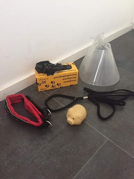 Pienelle koiralle. Kauluri, kaulapanta, kakkapusse