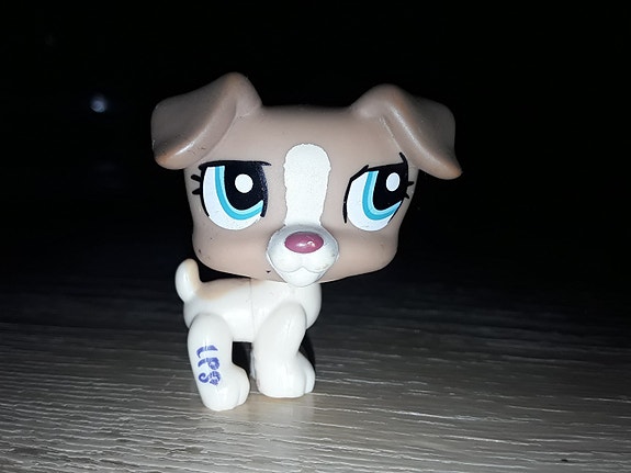 Lps russeli