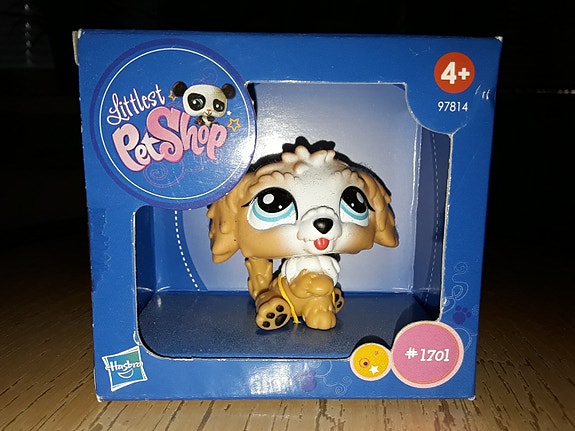 Lps labradoodle