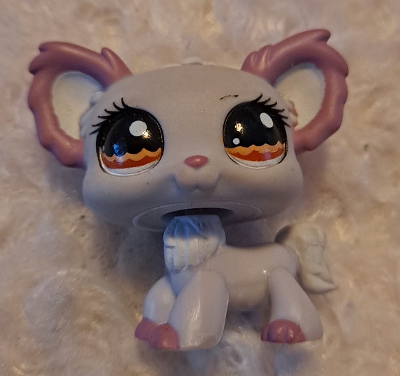 Littlest pet shop chihuahua koira