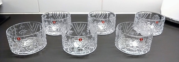 Iittala Flora kulho 100mm kirkas, kuusi kpl