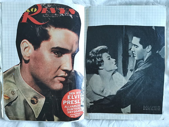 Elvis Presley keräilyvihko