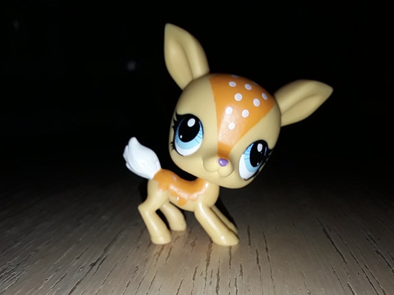 Lps kauris