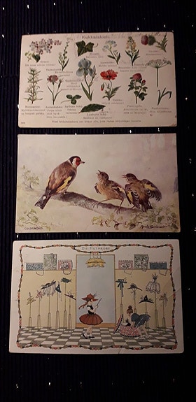 Vanhoja kortteja