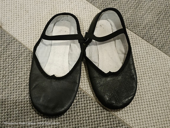 Nahkatossut 31