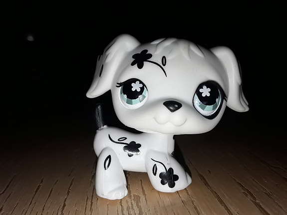 Lps dalmatialainen